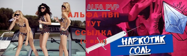 крисы Кулебаки
