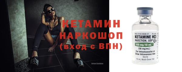 крисы Кулебаки