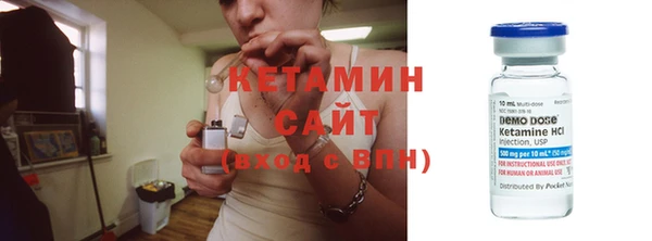 крисы Кулебаки