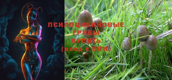 крисы Кулебаки