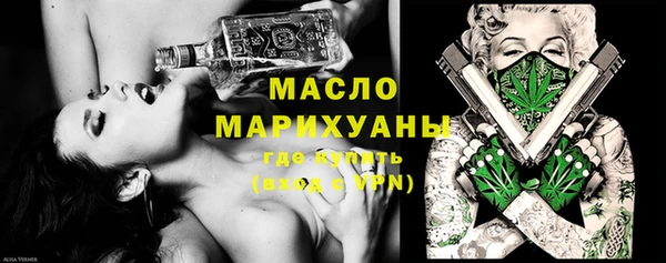 крисы Кулебаки