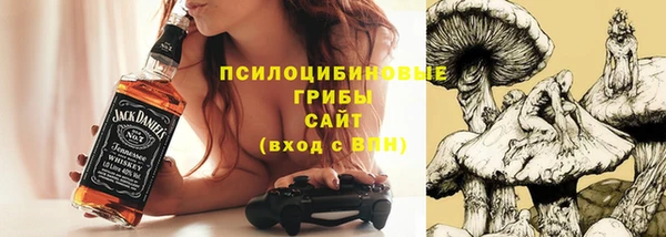 крисы Кулебаки