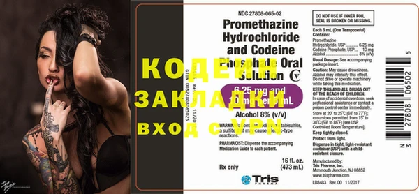 крисы Кулебаки